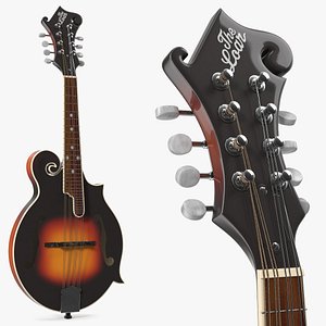 Mandolin Musical Instrument 3D