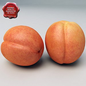 3d model peach modelled