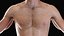 Male Full Anatomy 3D