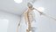 Male Full Anatomy 3D
