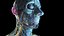 Male Full Anatomy 3D
