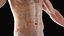 Male Full Anatomy 3D