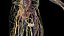 Male Full Anatomy 3D