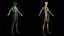 Male Full Anatomy 3D