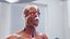 Male Full Anatomy 3D