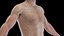 Male Full Anatomy 3D