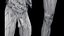 Male Full Anatomy 3D