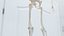 Male Full Anatomy 3D