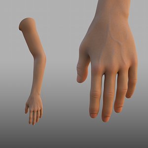 hand_anatomy
