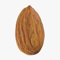 Almond Nut 03