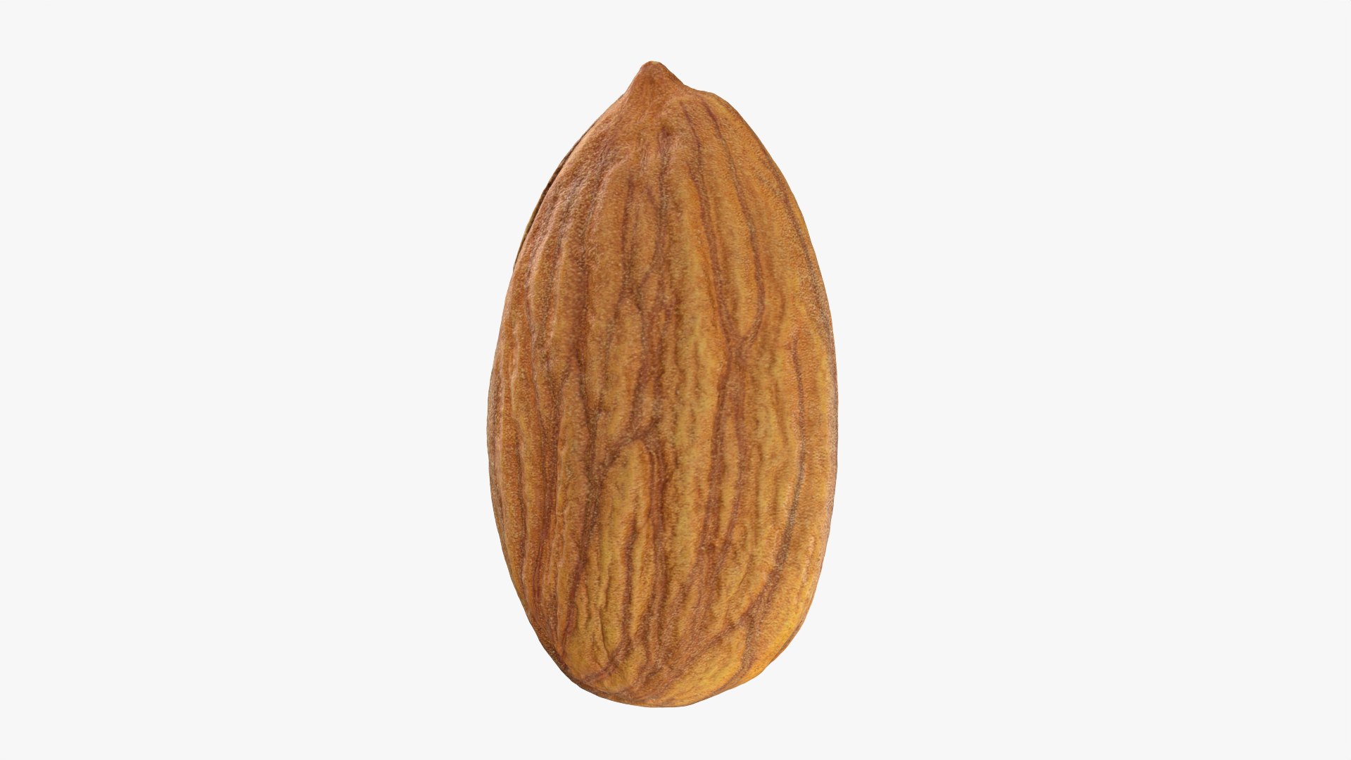 Almond Collection 3D model https://p.turbosquid.com/ts-thumb/Ex/n7JKWO/7U/almond03_0001/png/1789743149/1920x1080/fit_q87/6956900b832a05cb17cc43563030a6f128b145ce/almond03_0001.jpg