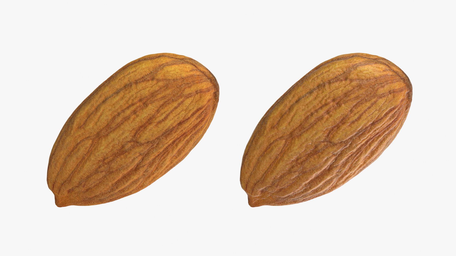 3D Almond Nut 03 https://p.turbosquid.com/ts-thumb/Ex/n7JKWO/Fd/almond03_0001b/png/1760099716/1920x1080/fit_q87/5aa4e64efe3d4be7f14ed8e6a929e6626a4ed2e6/almond03_0001b.jpg