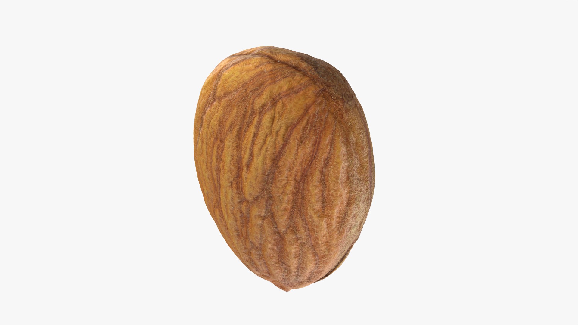 3D Almond Nut 03 https://p.turbosquid.com/ts-thumb/Ex/n7JKWO/H6/almond03_0006/png/1760099722/1920x1080/fit_q87/9d48292c42341de4b66bd94337372e44505d2a11/almond03_0006.jpg