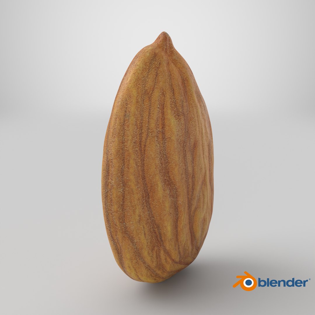 3D Almond Nut 03 https://p.turbosquid.com/ts-thumb/Ex/n7JKWO/Jf/stemcell_blender_cycles_render/png/1761055031/1920x1080/fit_q87/1abf4545c781ca37977480fde55fb93a18f6c677/stemcell_blender_cycles_render.jpg