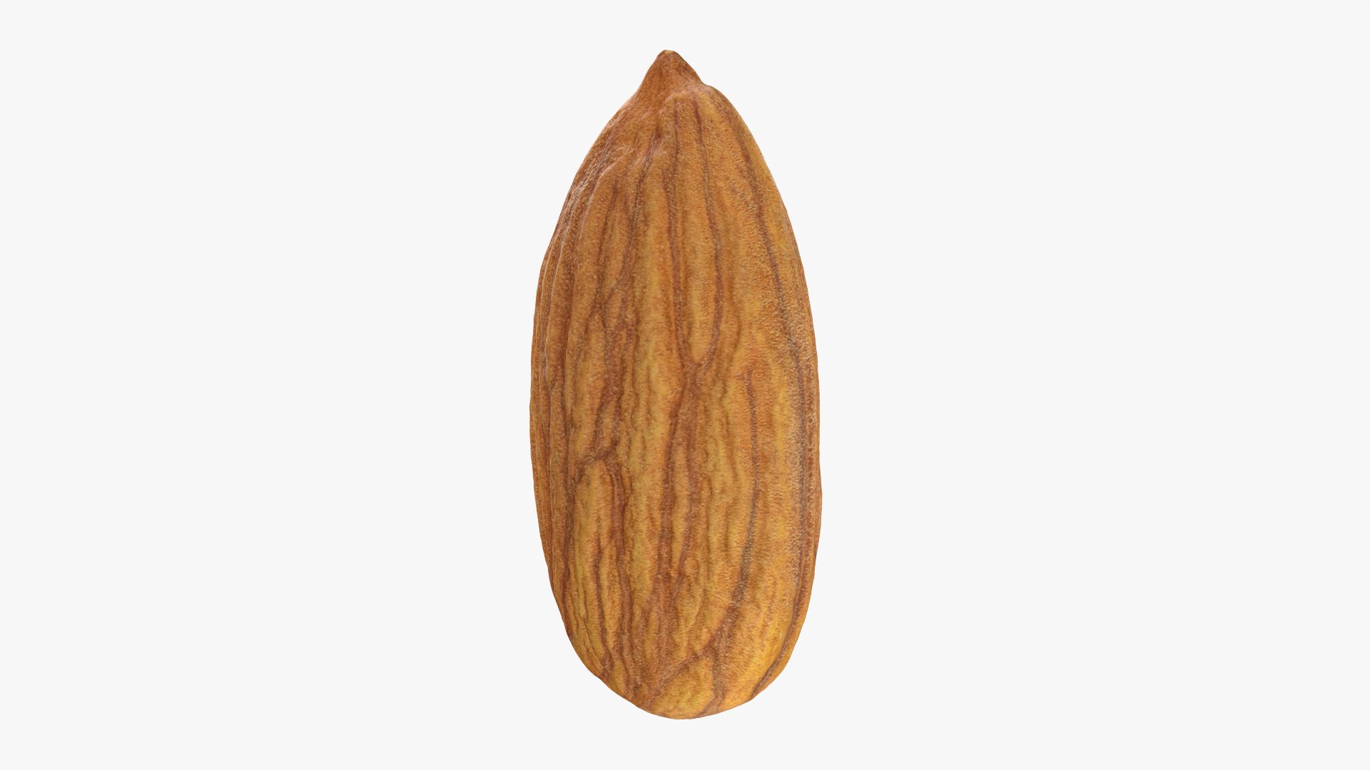 3D Almond Nut 03 https://p.turbosquid.com/ts-thumb/Ex/n7JKWO/QO/almond03_0011/png/1760099728/1920x1080/fit_q87/5d4b3606acb742c5252f2ed51d3356b8675a1324/almond03_0011.jpg