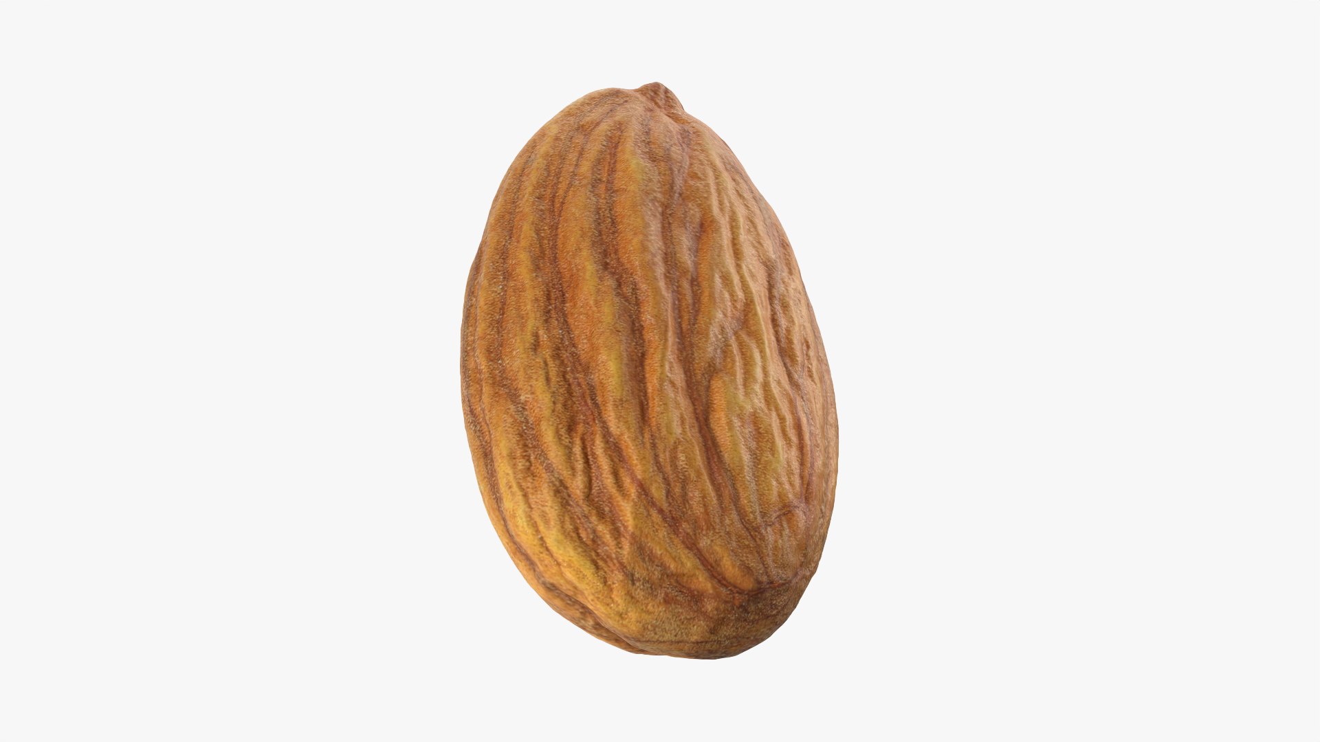 3D Almond Nut 03 https://p.turbosquid.com/ts-thumb/Ex/n7JKWO/WU/almond03_0008/png/1760099723/1920x1080/fit_q87/a9d23e98c1574daa65a8fd6723370cb7a4a9a6e3/almond03_0008.jpg