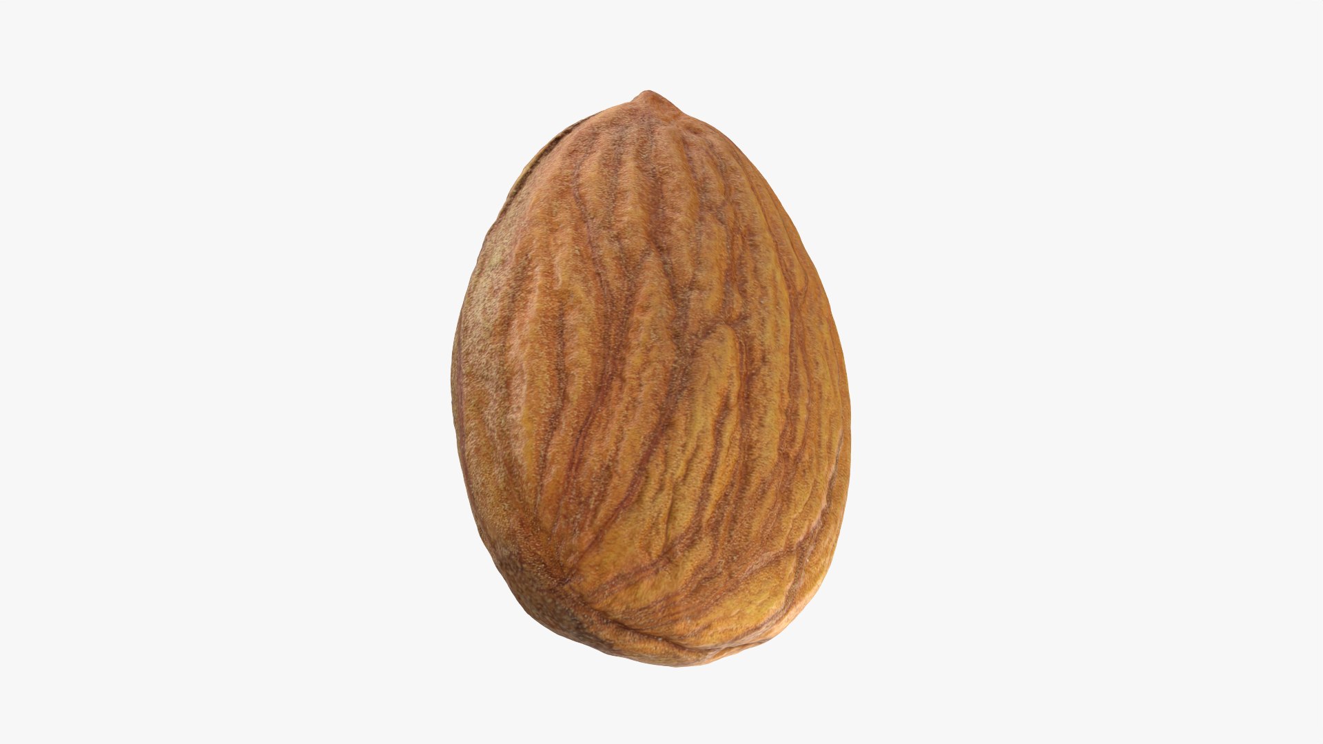3D Almond Nut 03 https://p.turbosquid.com/ts-thumb/Ex/n7JKWO/ky/almond03_0012/png/1760099730/1920x1080/fit_q87/d0c84ff97280fd799fafbae7226dc64f32671a89/almond03_0012.jpg