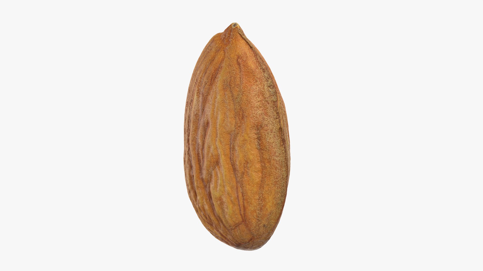 3D Almond Nut 03 https://p.turbosquid.com/ts-thumb/Ex/n7JKWO/l0/almond03_0002/png/1760099718/1920x1080/fit_q87/52ecfd676081ef03bb92b129a52bd430d5ca747f/almond03_0002.jpg