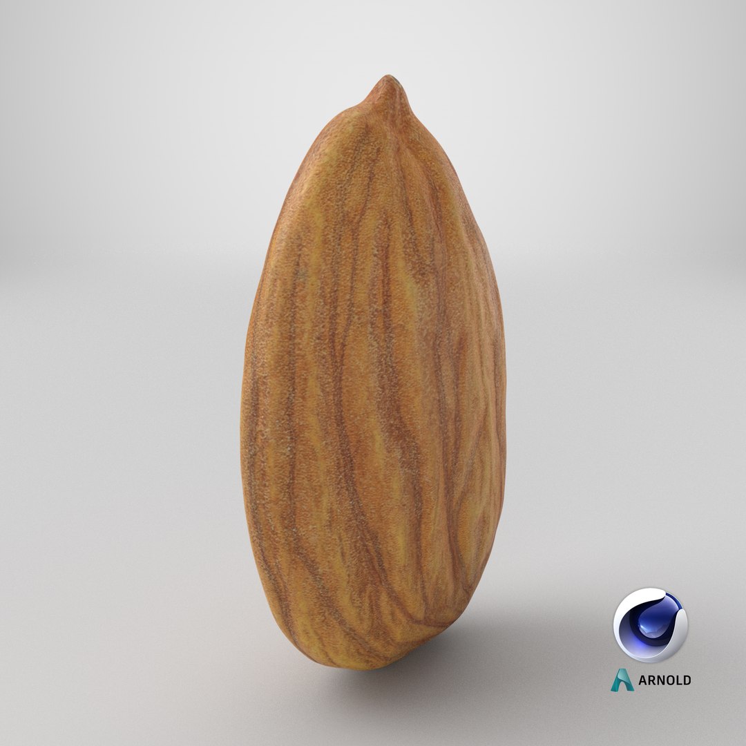 3D Almond Nut 03 https://p.turbosquid.com/ts-thumb/Ex/n7JKWO/t2/stemcell_cinema_4d_arnold_render/png/1761055036/1920x1080/fit_q87/15790179b84ecac2ed89c95efb53c78b51c28e52/stemcell_cinema_4d_arnold_render.jpg