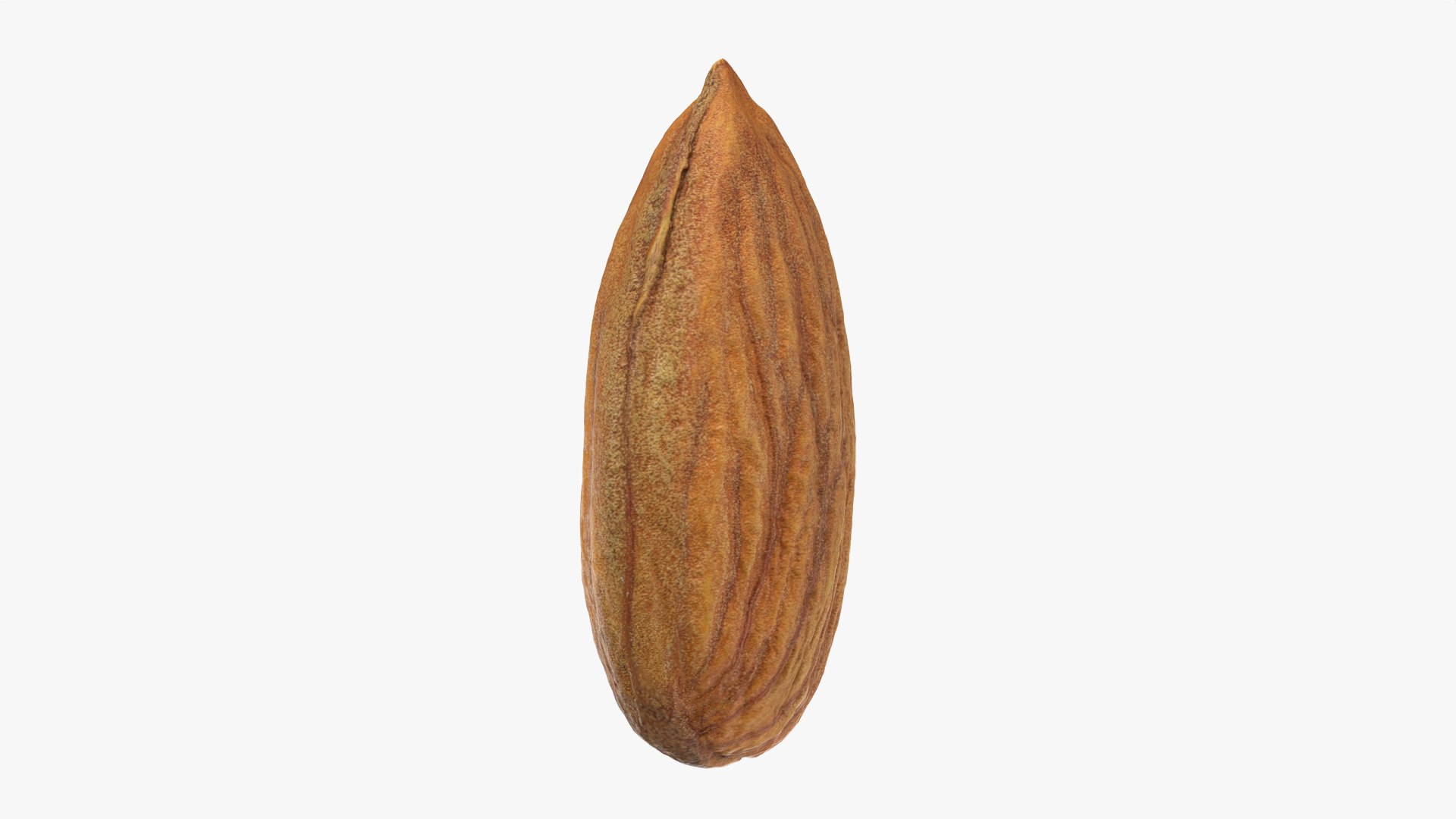 3D Almond Nut 03 https://p.turbosquid.com/ts-thumb/Ex/n7JKWO/tR/almond03_0010/png/1760099727/1920x1080/fit_q87/65b879ffb0789c4c28afca00488a1bd43cf9dda9/almond03_0010.jpg