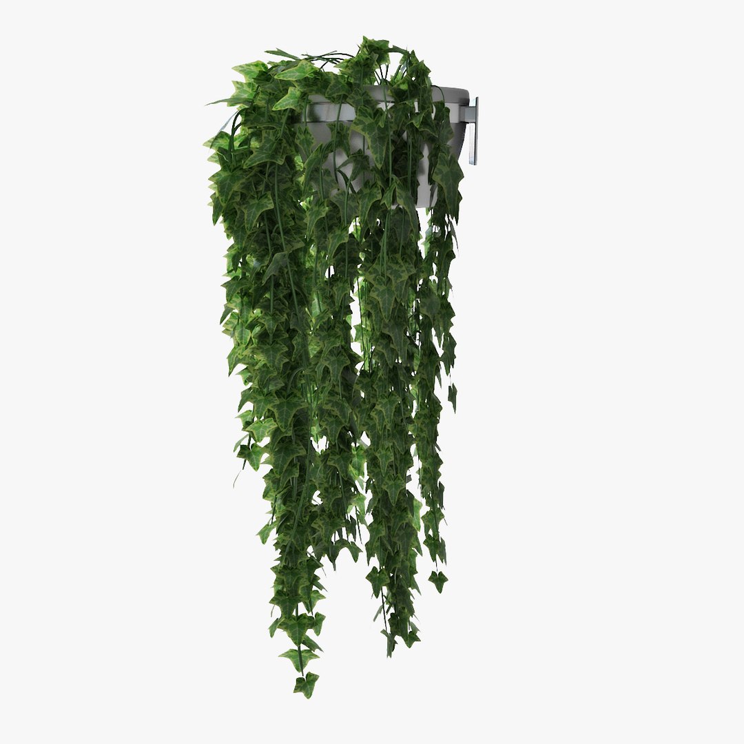 ivy pot 3D model https://p.turbosquid.com/ts-thumb/Ex/nTyvfI/fzdMqRHq/pr_05/jpg/1523024320/1920x1080/fit_q87/d19b5390f8ff5e5ea5c743c8d0e192e99bc9d12f/pr_05.jpg