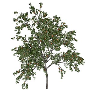 3D Peach Tree - 10 -