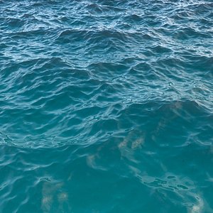 ocean 5 3D