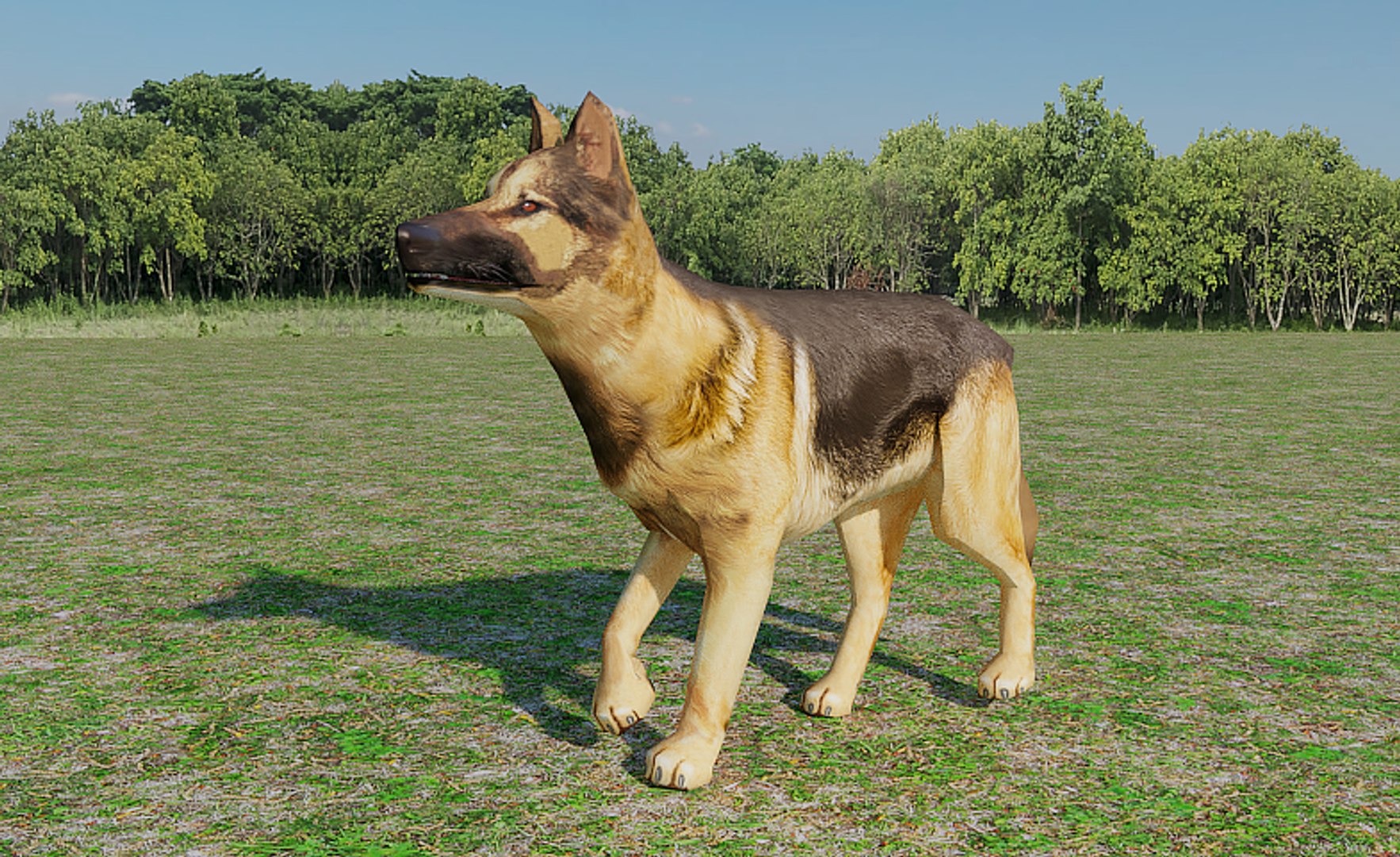 german shepherd 3D model https://p.turbosquid.com/ts-thumb/Ex/wnXvRk/86lmnzTJ/004/png/1497962952/1920x1080/fit_q87/59607a8c180ab664458e5546923390ec8c1e1fb0/004.jpg