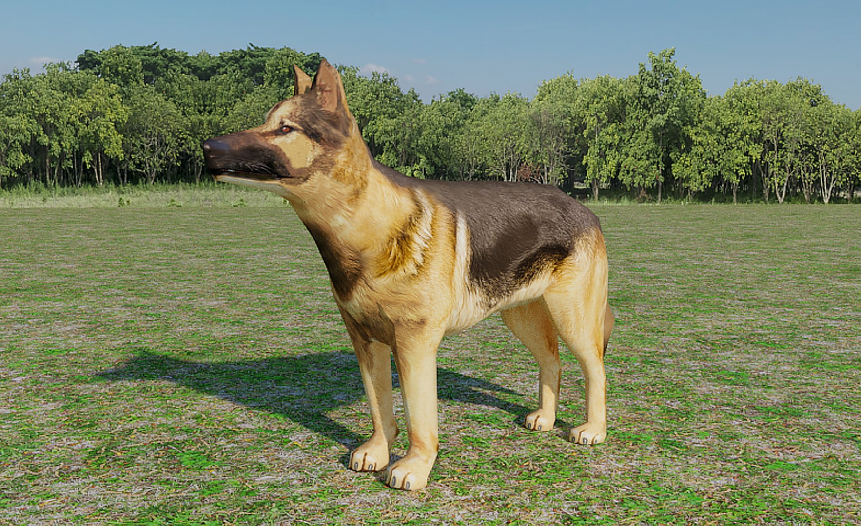 german shepherd 3D model https://p.turbosquid.com/ts-thumb/Ex/wnXvRk/HW065qbx/002/png/1497961734/1920x1080/fit_q87/fdbb07c81a50dc4a673bf356efc80032553ff81b/002.jpg