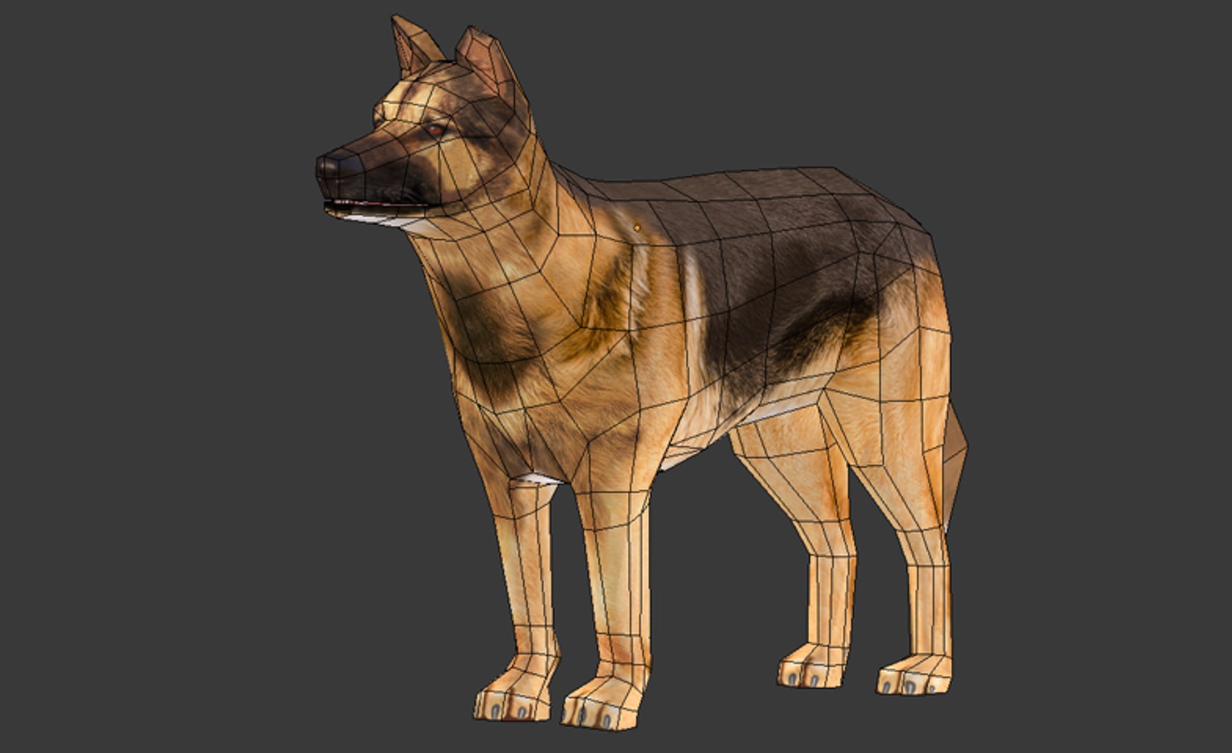 german shepherd 3D model https://p.turbosquid.com/ts-thumb/Ex/wnXvRk/k9JmODbL/010/png/1497963453/1920x1080/fit_q87/733a0e844987f32c78fc0bd926779fc06b4e02e6/010.jpg