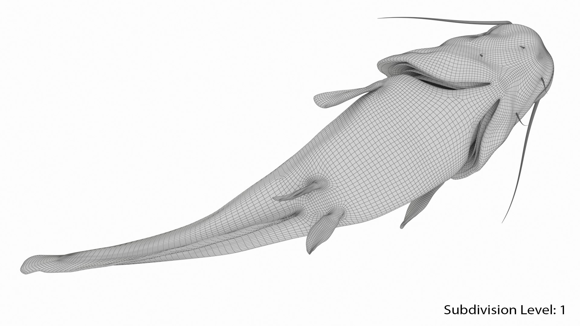 Catfish Animation Model - TurboSquid 1511658