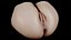 Scannen Sie Vagina 002