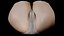 Scannen Sie Vagina 002