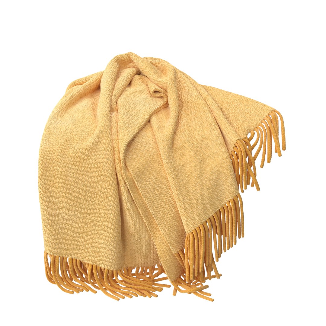 sofa throw blanket 3D model https://p.turbosquid.com/ts-thumb/Ey/7KqsUt/1H/8/jpg/1740740019/1920x1080/fit_q87/3949b51581a515b1394ad0d2aa03a0459392ca54/8.jpg