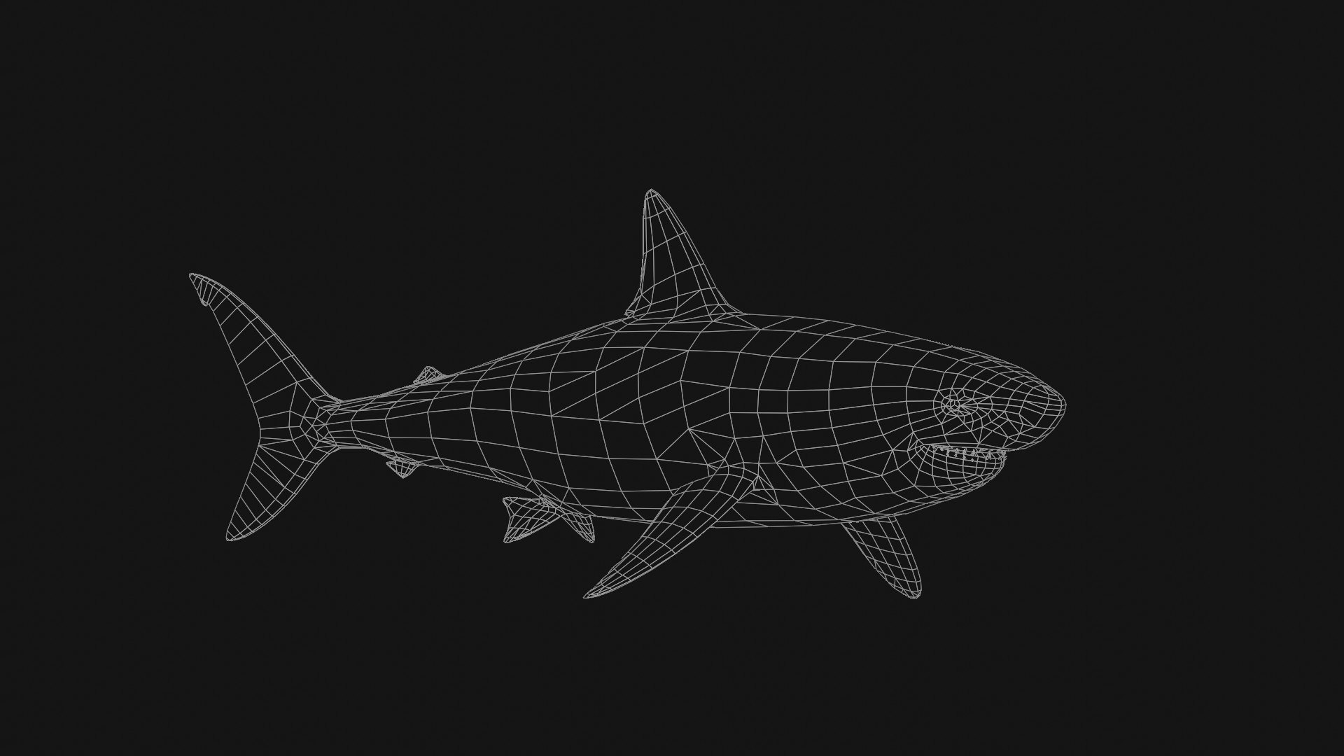 3D Realistic Shark - TurboSquid 2066440