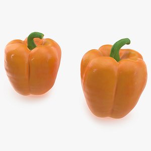 3D Bell Pepper Orange Sun