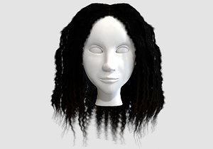 long afro hair 3D model
