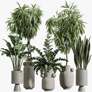 AV Indoor Plants Set 422 Ficus Binnendijkii and Zamiifolia and Green Sansevieria and ParadiseBird 3D