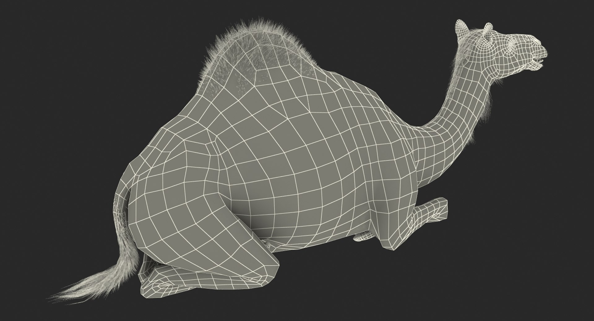 3d model camel sitting pose https://p.turbosquid.com/ts-thumb/Ey/LPy0fp/PVRQNFHJ/camelsittingposemb3dmodel035/jpg/1487312082/1920x1080/fit_q87/898ce831a5df9983984841184d1b8cd57cc6a202/camelsittingposemb3dmodel035.jpg