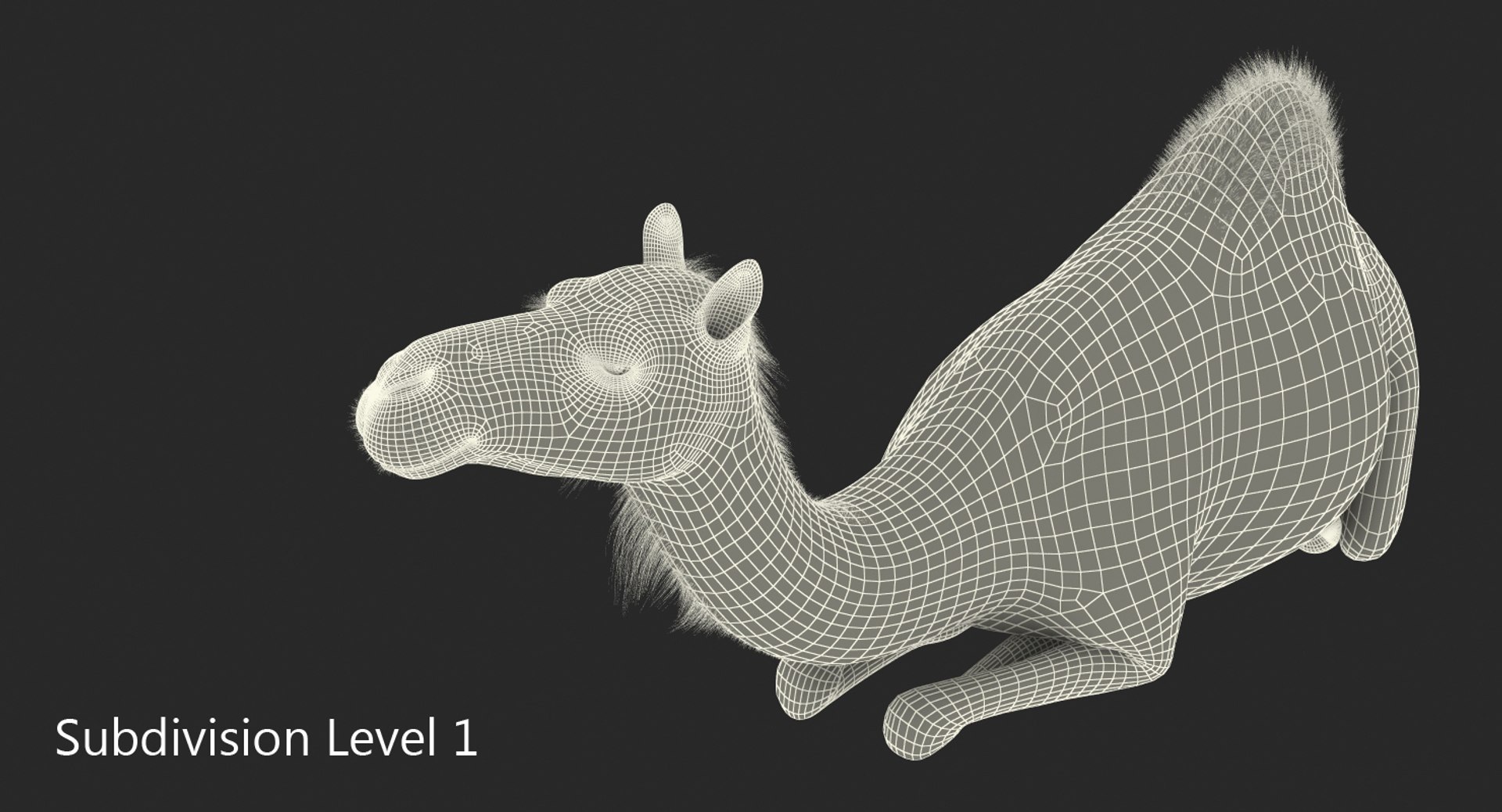 3d model camel sitting pose https://p.turbosquid.com/ts-thumb/Ey/LPy0fp/QRE7l0Xm/camelsittingposemb3dmodel028/jpg/1487312080/1920x1080/fit_q87/2362e0502fd3aa8b818be3477bd0a02147569b8c/camelsittingposemb3dmodel028.jpg