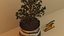 Potted plant with Eye Of Horus