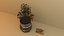 Potted plant with Eye Of Horus
