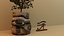 Potted plant with Eye Of Horus