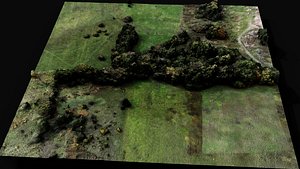 3D forest ground trees field grass terrain part2 aerial dronescan model