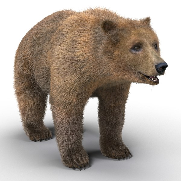 Bear elk rigged 3D model - TurboSquid 1196836