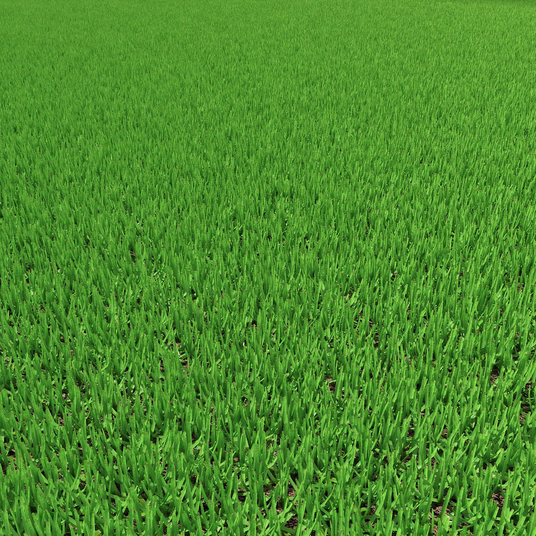 Grass 3D Model - TurboSquid 1303171