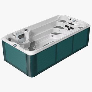 Spa Hot Tub