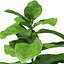 XfrogPlants Agricultura