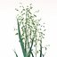 XfrogPlants Agricultura