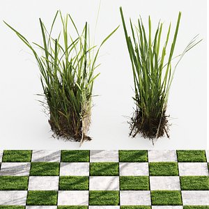 3D Decorative Floor Grass 02